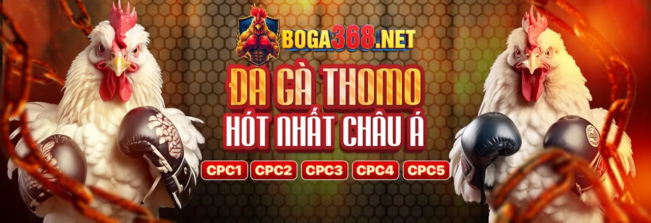 Đá gà trực tuyến kịch tính tại vlxx88 chính thức